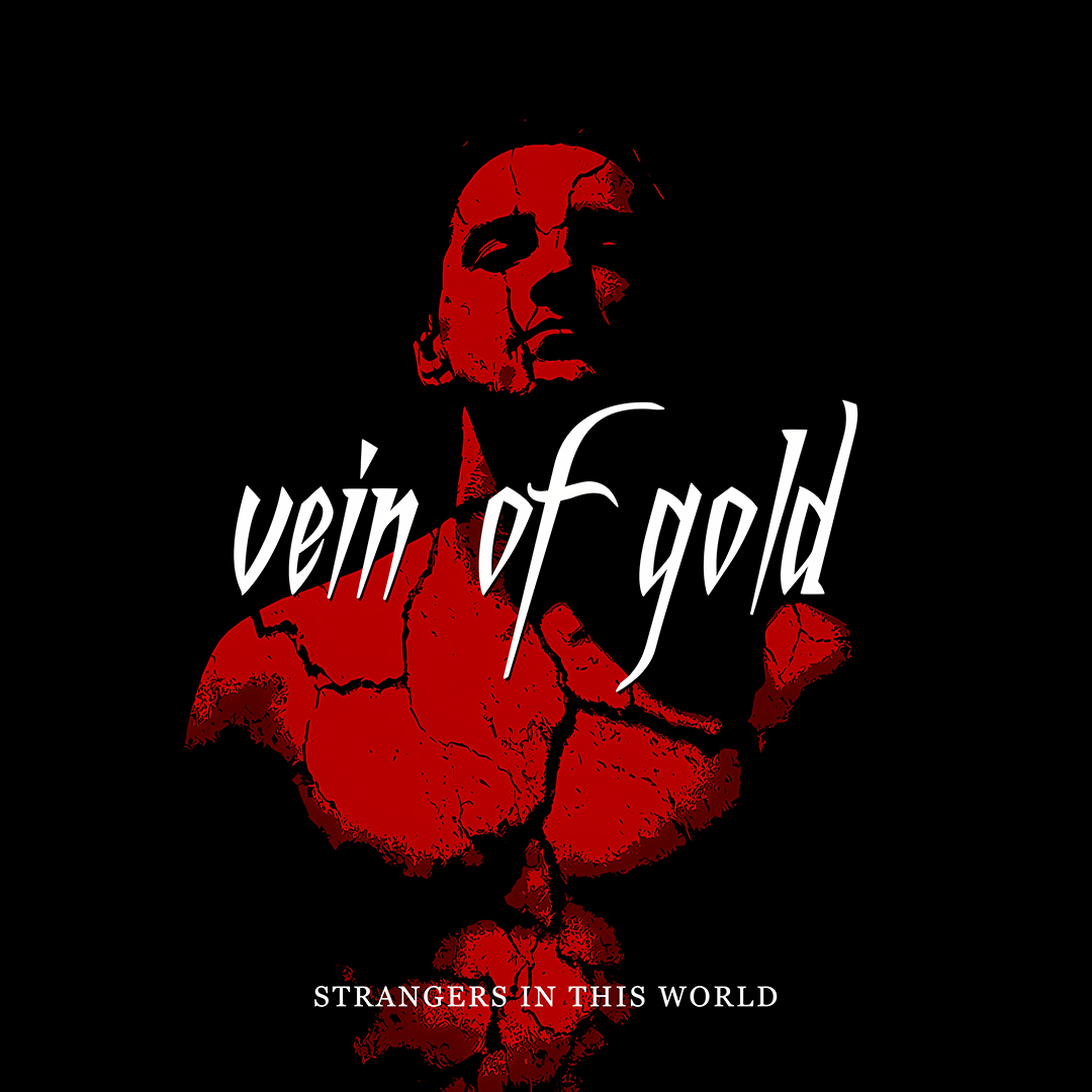 Strangers in This World by Vein of Gold